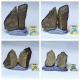 L76/L69/L72/L73 NWA Chondrite Meteorites - Dirk Order