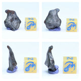 N4, N13 & T108  2 Complete Oriented NWA 859 TAZA Iron Plessitic Octahedrite Meteorites + New NWA 13472 LL4-6 Ordinary Chondrite Meteorite 30g - Mohammed Order