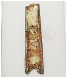 T271 - Exceedingly Rare 2.40'' Cretaceous Azhdarchid Pterosaur Dentary Bone KemKem