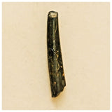 JS55 - Top Rare Nigersaurus taqueti Sauropod Dinosaur Tooth Cretaceous Elrhaz Fm