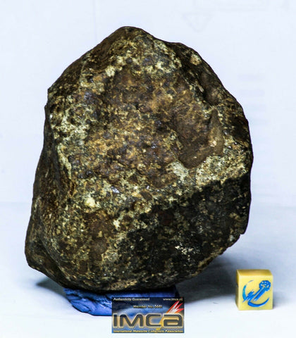 M24 - Great Complete NWA Unclassified Ordinary Chondrite Meteorite 397.2g - Konstantinos Order