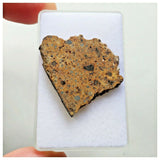 14016 A52 - Nice "NWA 13472" LL4-6 Ordinary Chondrite Meteorite 4.89g Crusted Slice