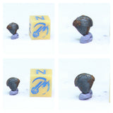 N4, N13 & T108  2 Complete Oriented NWA 859 TAZA Iron Plessitic Octahedrite Meteorites + New NWA 13472 LL4-6 Ordinary Chondrite Meteorite 30g - Mohammed Order