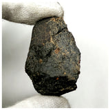 13019 M1 - New "NWA 14740" (Provisional) Carbonaceous Chondrite C3 Ung Meteorite 13.5g