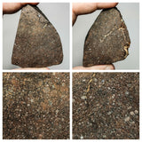 Lot of NWA Ordinary Chondrite Meteorites - Davgalev Order