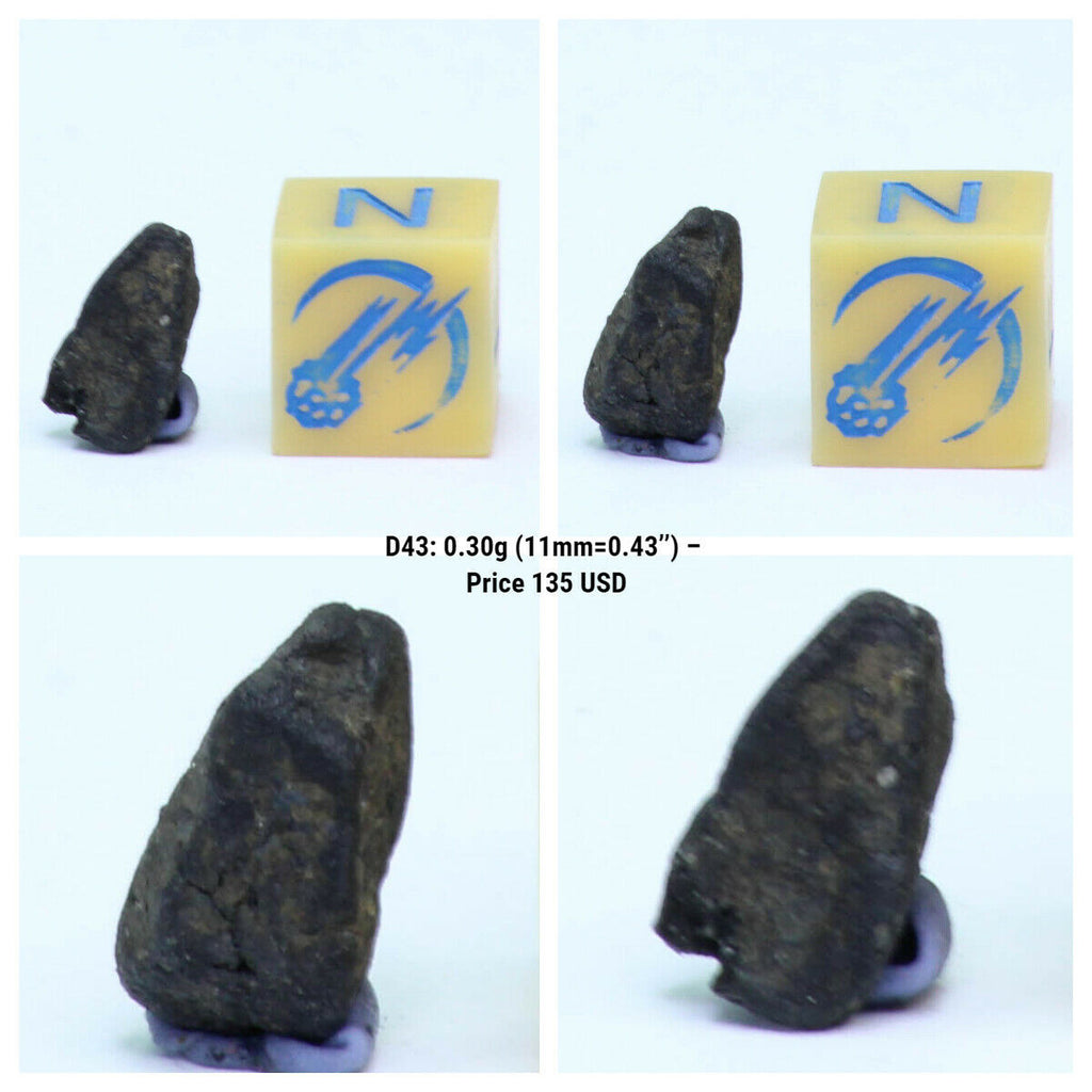 New Classification TARDA Carbonaceous Chondrite C2 Ung 0.30g Witnessed Meteorite - Michael Order