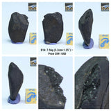 New Classification TARDA Carbonaceous Chondrite C2 Ung 7.56g Witnessed Meteorite