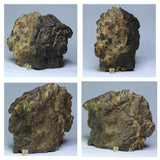 Lot of NWA Ordinary Chondrite Meteorites - Davgalev Order