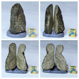 Lot of NWA Ordinary Chondrite Meteorites - Davgalev Order