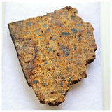 14016 A52 - Nice "NWA 13472" LL4-6 Ordinary Chondrite Meteorite 4.89g Crusted Slice