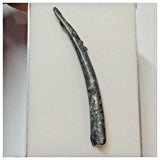 W5 - Top Large Rare Ornithocheirid Pterosaur Tooth - Lower Cretaceous - Elrhaz Fm