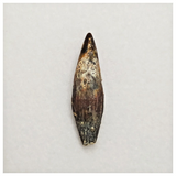 T168 - Top Rare Fully Rooted Pterosaur (Coloborhynchus) Tooth Cretaceous KemKem