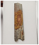 T271 - Exceedingly Rare 2.40'' Cretaceous Azhdarchid Pterosaur Dentary Bone KemKem
