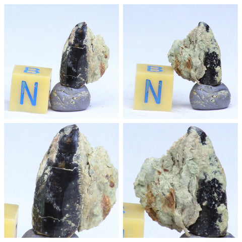 R253, R254, R255 & R257 Black Cretaceous Theropod Teeth Ifezouane Fm - Belden Order