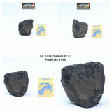 New Classification TARDA Carbonaceous Chondrite C2 Ung 2.84g & 3.07g Witnessed Meteorite - Order Roger