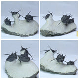 L35 - Insane Association 3 "Flying Devil Horned" Cyphaspis Devonian Trilobites - Order 永森 陳