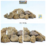 Tarda C2 Ungrouped + Agoudal Iron Meteorites. Order Martin