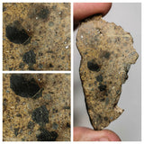M40, K12, K13, K14 & L218 Lot of Meteorites + Fossils. Order Dirk