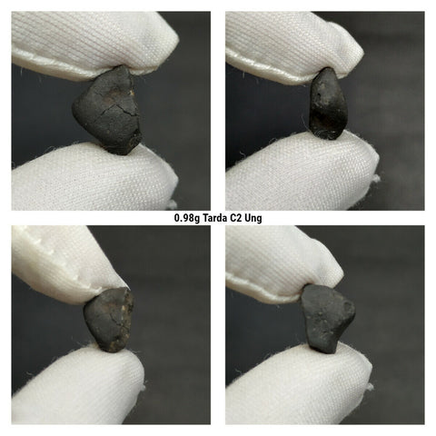 SC17 - "TARDA" Carbonaceous Chondrite C2 Ungrouped Witnessed Meteorite - 0.98 g