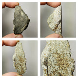 N101 Crusted Endcut ZHOB 19.7g H3-4 Chondrite Witnessed Meteorite Pakistan 2020