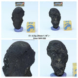 Tarda C2 Ungrouped + Agoudal Iron Meteorites. Order Martin