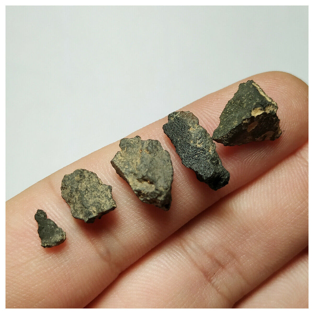N20 -Top Rare NWA 12416 2.2g Carbonaceous Chondrite C3 Ungrouped 5 Fragments (143947388109)