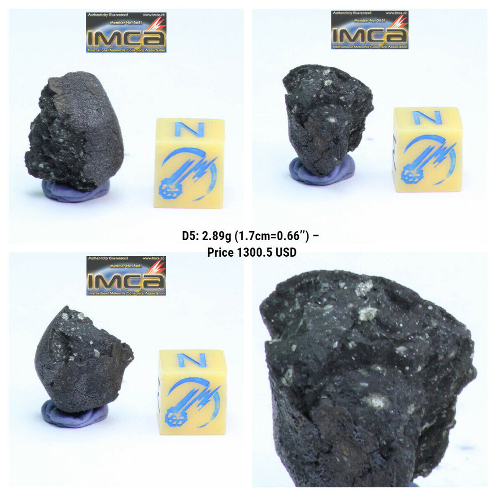 New Classification TARDA Carbonaceous Chondrite C2 Ung 2.89g Witnessed Meteorite. Zolensky Order