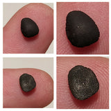 K14 - TARDA Carbonaceous Chondrite C2 Ungrouped Witnessed Meteorite - 0.10 g(143950919786)