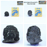 New Classification TARDA Carbonaceous Chondrite C2 Ung Witnessed Meteorite - Order Matthew