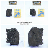 New Classification TARDA Carbonaceous Chondrite C2 Ung Witnessed Meteorite - Order Matthew