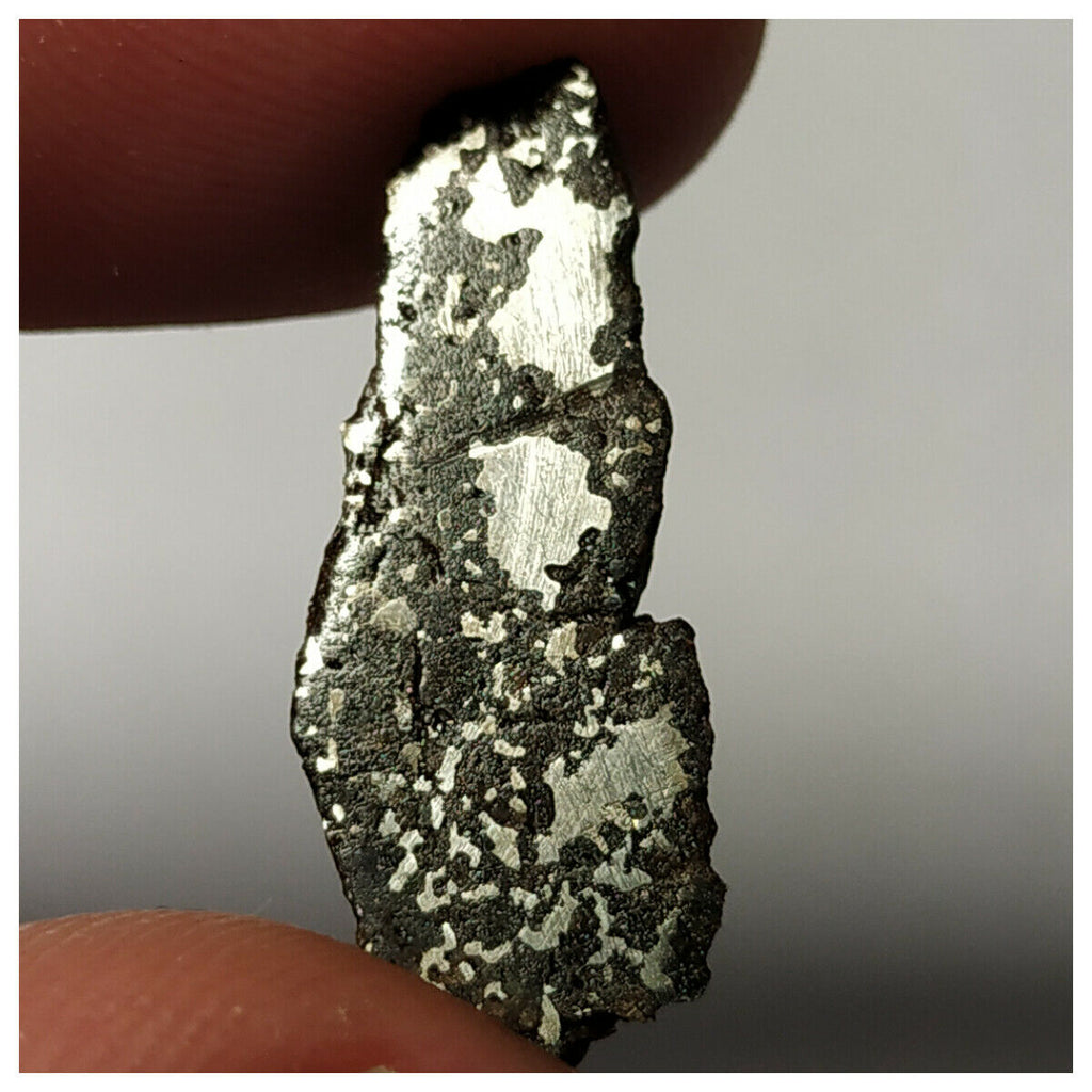 Meteorite Lot: New NWA IAB-MG, Unclassified Cgondrite Slices + Winonaite High Metal (143950967558)