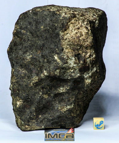 M32 + M42 - Great Huge Complete NWA Unclassified Ordinary Chondrite Meteorite 1950g - Order Jasper
