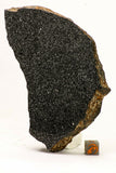 Meteorite Collection + Trilobite Collection Order 143950940216