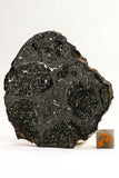 Meteorite Collection + Trilobite Collection Order 143950940216