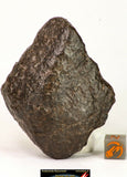 Meteorite Collection + Trilobite Collection Order 143950940216