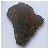 13100 A22 -  "NWA 13758" R3 Rumuruti Chondrite Meteorite 7.28g Polished Slice