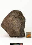 Meteorite Collection + Trilobite Collection Order 143950940216