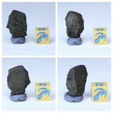 New Classification TARDA Carbonaceous Chondrite C2 Ung 3.46g Witnessed Meteorite - Order Roger