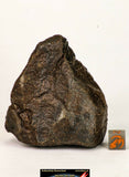 Meteorite Collection + Trilobite Collection Order 143950940216