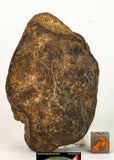 Meteorite Collection + Trilobite Collection Order 143950940216