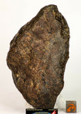 Meteorite Collection + Trilobite Collection Order 143950940216