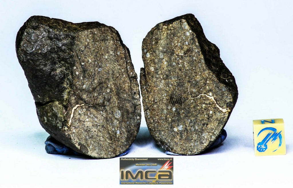 Maxim Davgalev Order. Lot of ordinary chondrites meteorites
