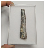 T90 - Large Rebbachisaurus garasbae Diplodocoid Sauropod Dinosaur Tooth KemKem
