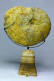 Lot of Decorative Fossils - 143936022763 Order