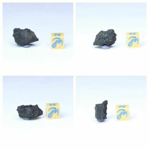 New Classification TARDA Carbonaceous Chondrite C2 Ung 2.37g Witnessed Meteorite - McMahon Order